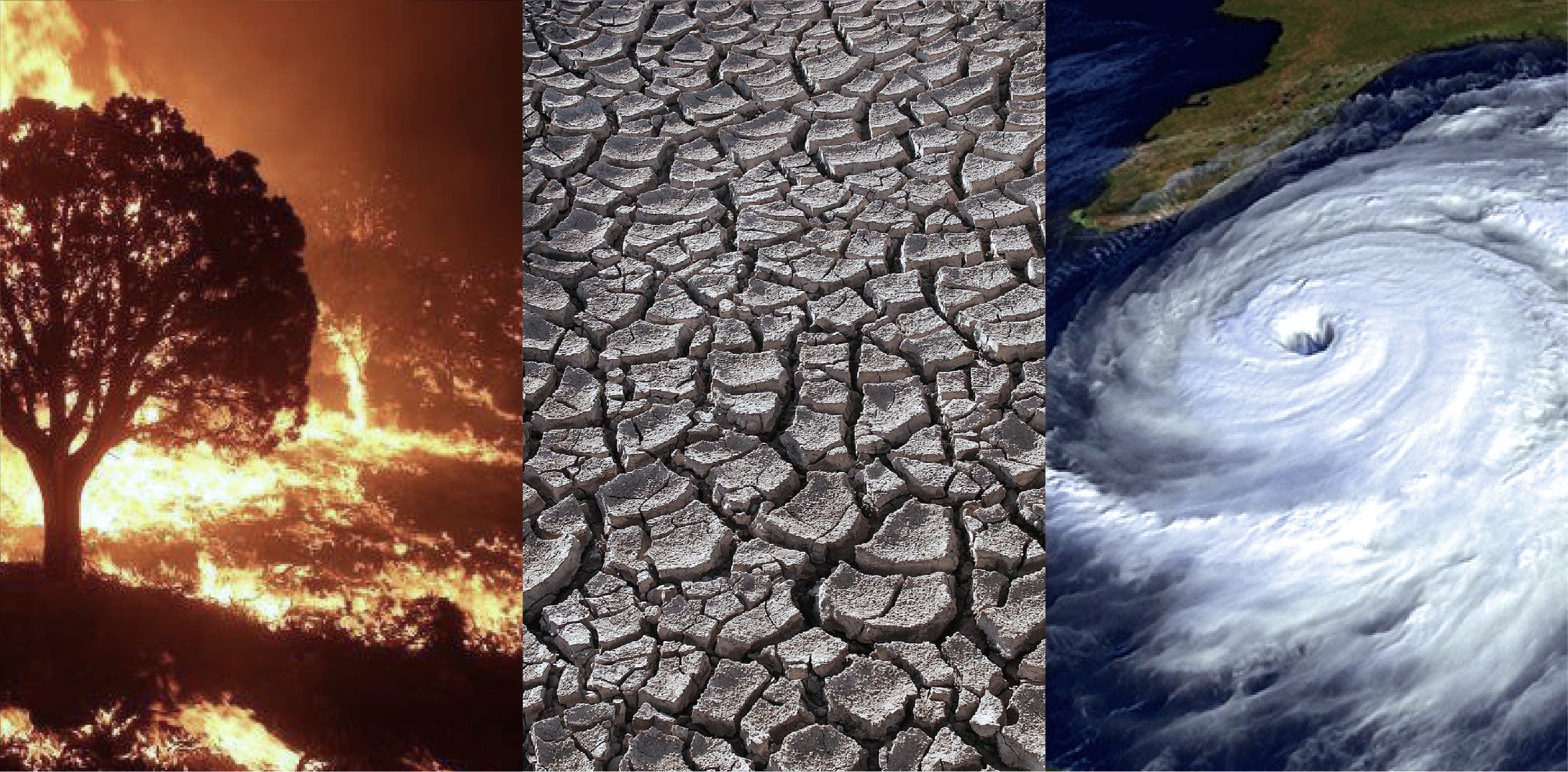 scenes of the chaos of the world due to climate issues